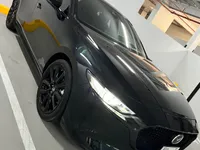 More images