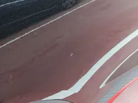 الباب الخلفى الأيسر