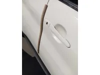 Rear left door