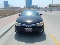 More images