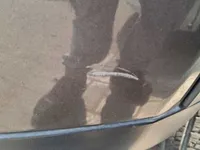 الصدام الأمامى