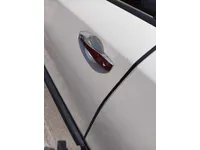 Front left door