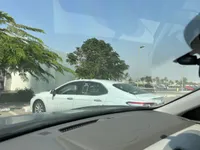 Windshield