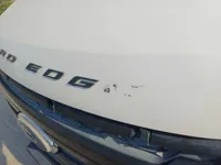Bonnet