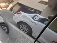 Left Fender