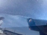 Bonnet