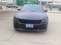 More images