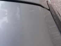 Rear left door