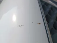 الباب الخلفى الأيسر