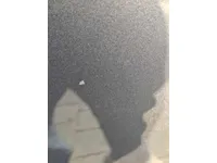 Left Fender
