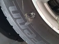 Front right Tire