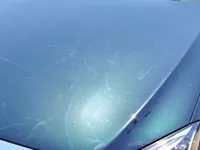 Bonnet