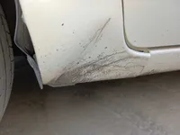 الرفرف الجانبي الأيسر