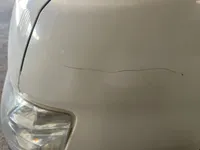 الرفرف الجانبي الأيسر