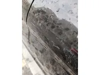 Rear left door