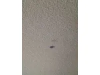 مخدوش / فيه صدمة