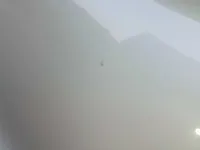 الباب الأمامى الأيسر