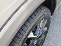 Rear left door