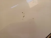 الباب الأمامى الأيسر