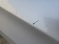 الباب الأمامى الأيسر