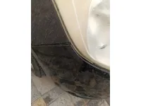 Rear left door