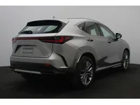 More images