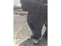 الباب الأمامى الأيسر