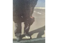 الباب الخلفى الأيسر
