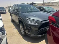 More images
