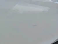 الباب الأمامى الأيمن