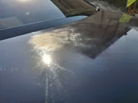 Trunk / Boot door