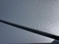 Bonnet