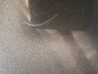 Left quarter panel