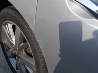 Rear left door