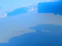 الباب الأمامى الأيمن