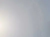غطاء المحرك (الكبوت)