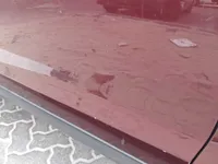 الباب الأمامى الأيسر