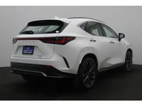 More images