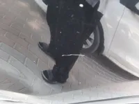 Rear left door