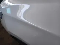 Front left door