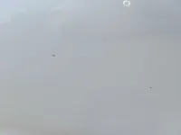 الباب الأمامى الأيمن