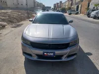 More images