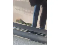 الباب الخلفى الأيمن