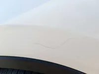 Left Fender