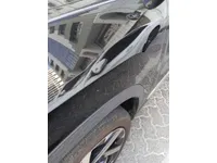 Rear left door