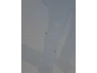الباب الخلفى الأيمن