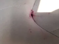 Scratched/Dented