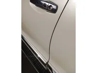 Front left door