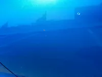 الباب الخلفى الأيسر