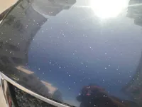 Bonnet